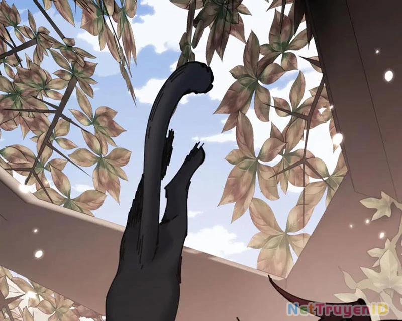 Sư Tôn: Nghịch Đồ Này Không Phải Là Thánh Tử 116 trang 87