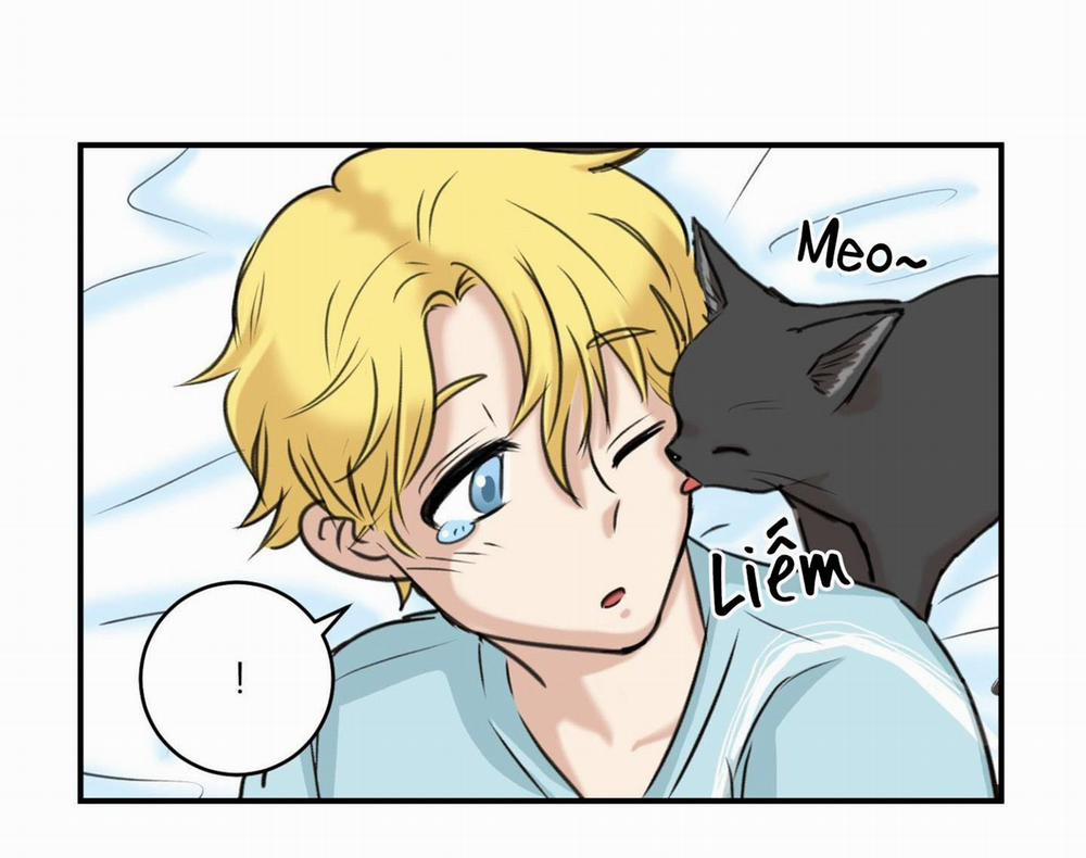 Sự Trả Thù Méo Mó 14 trang 3