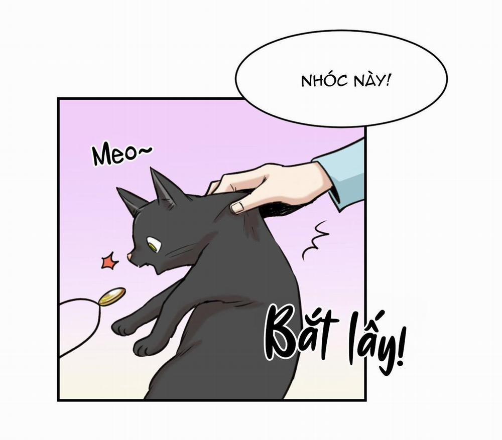 Sự Trả Thù Méo Mó 14 trang 8