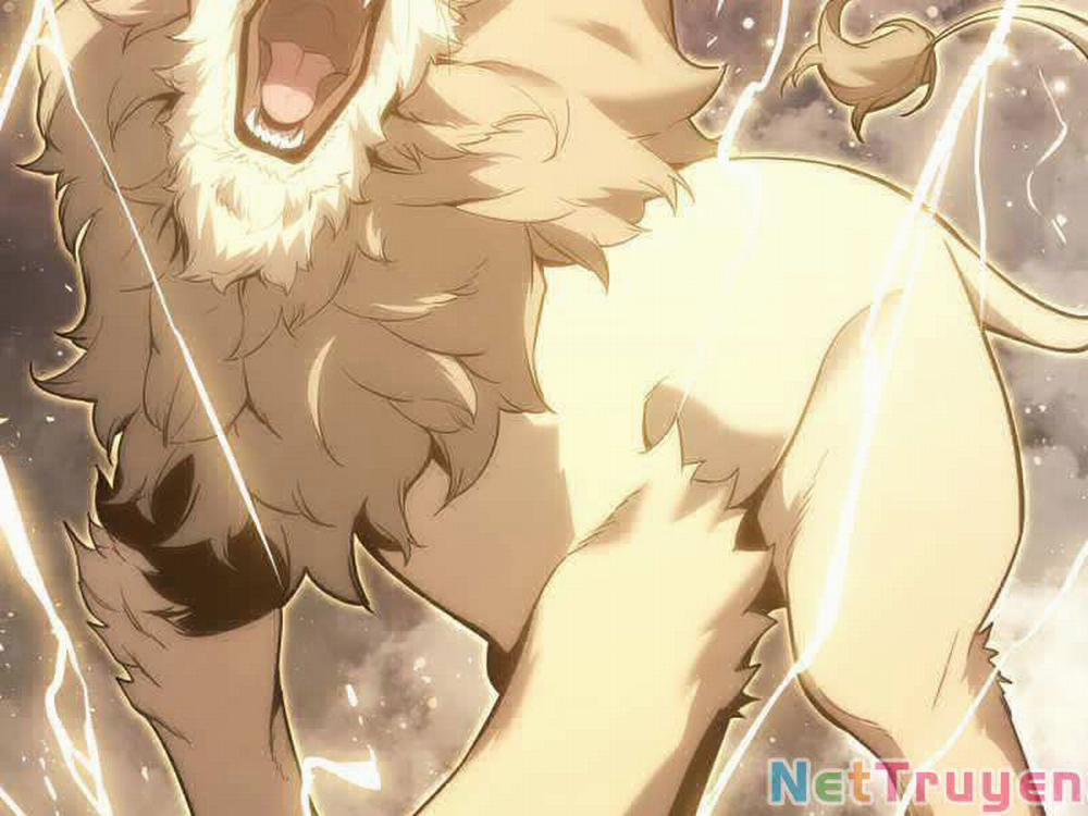 Sự Trở Lại Của Anh Hùng Cấp Thảm Họa 19 trang 77