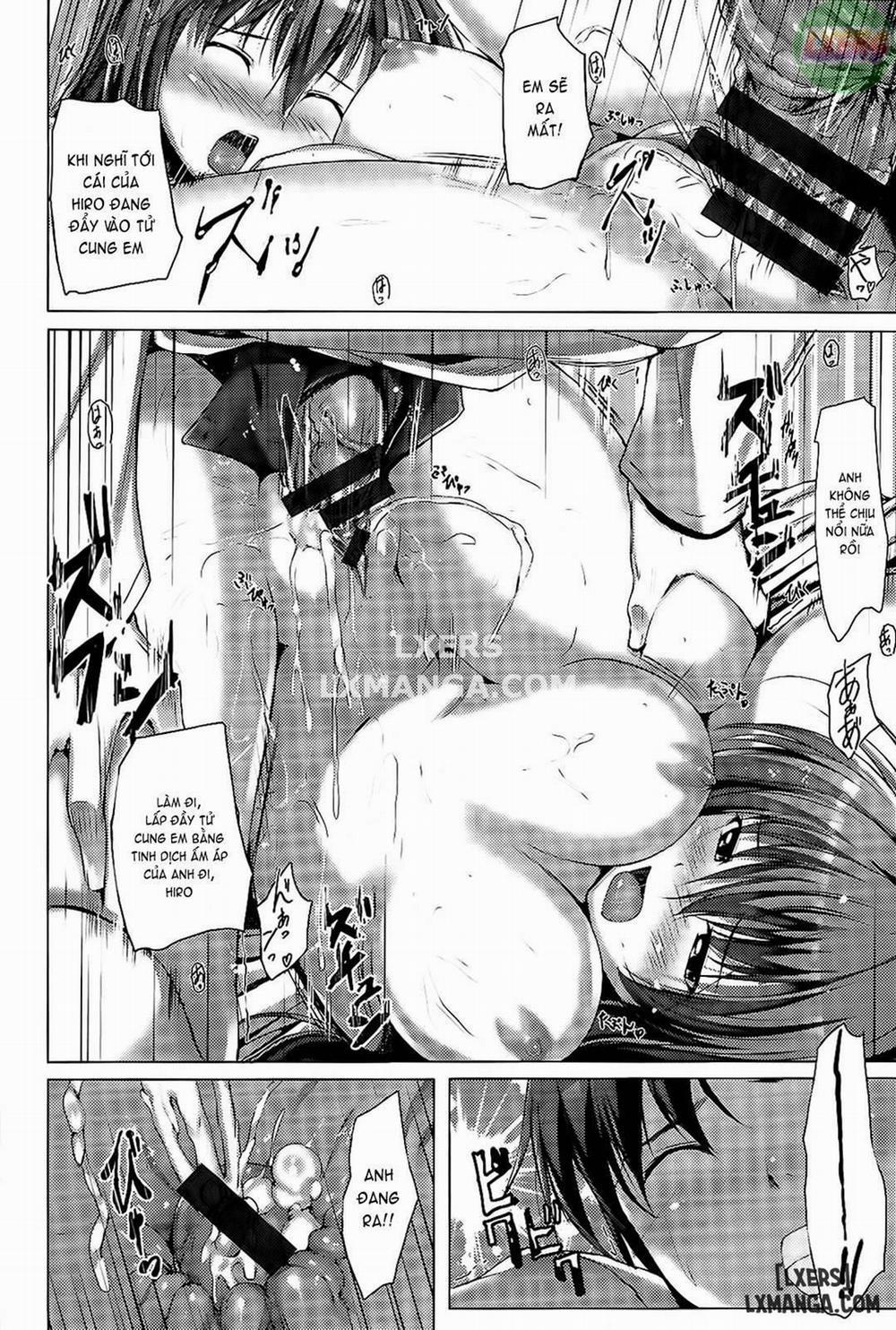 Sunao ni Narenai 11 trang 16