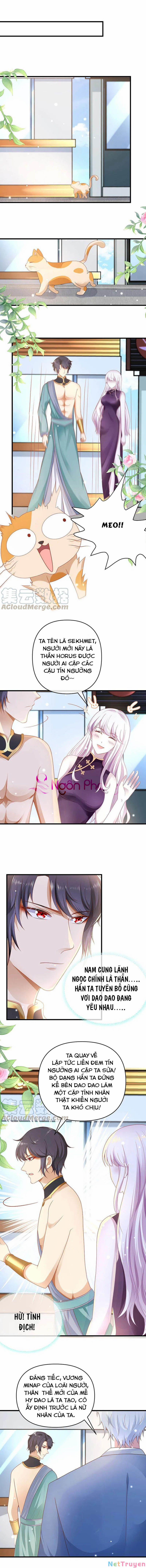 Sủng Hậu Của Vương 133 trang 3