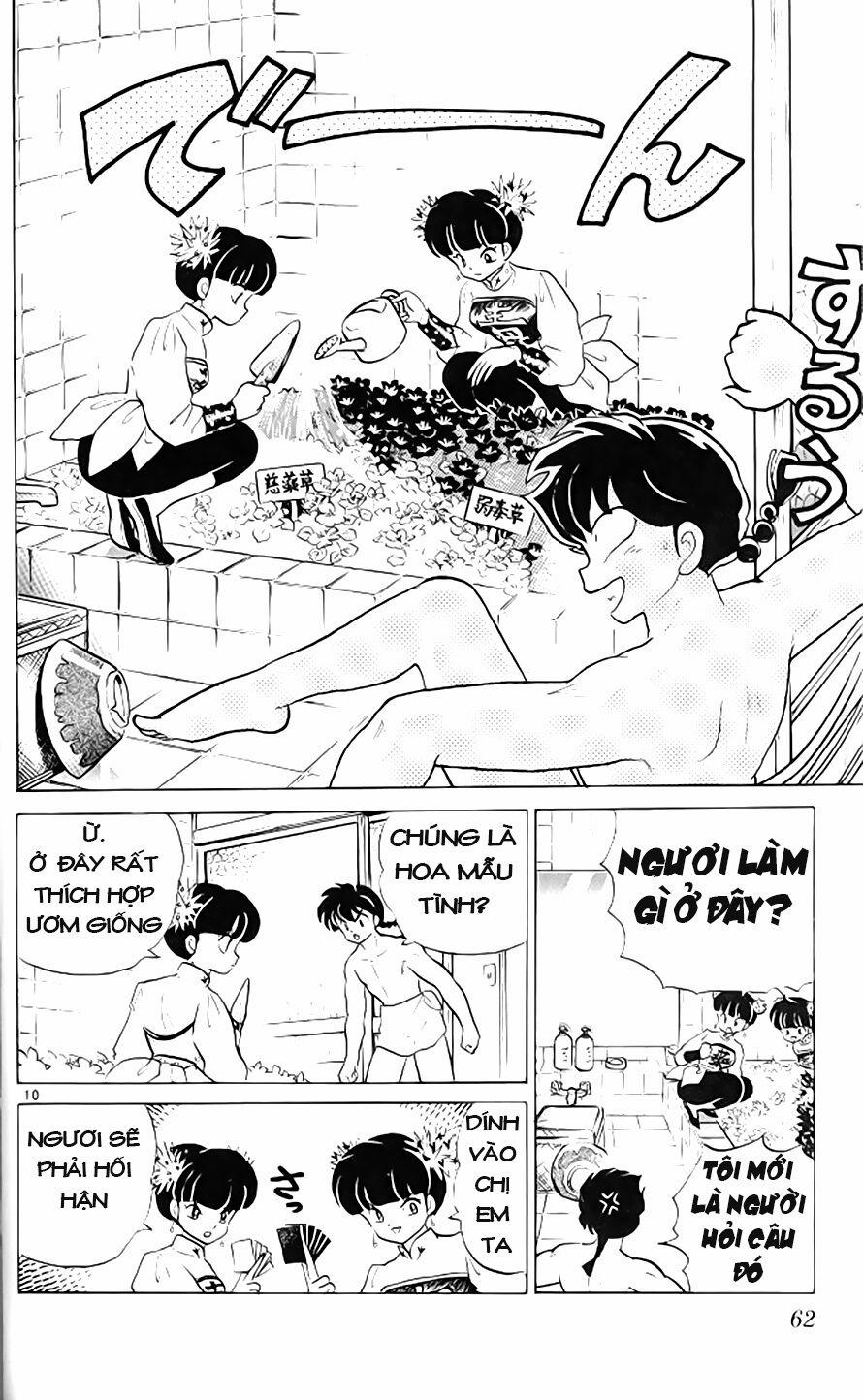 Suối Lời Nguyền 304 trang 10