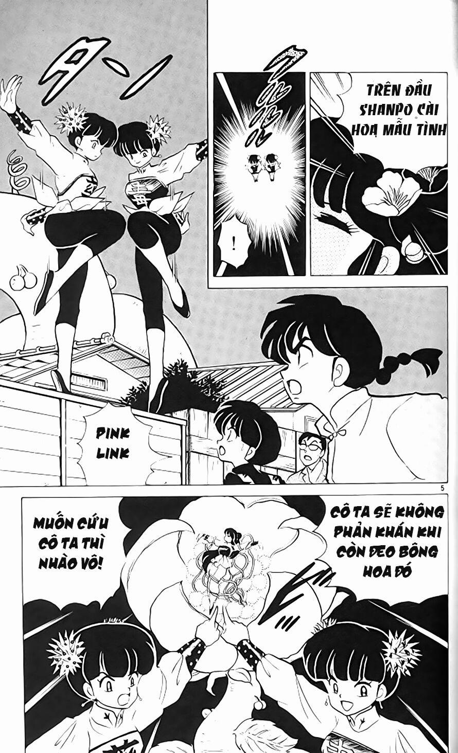 Suối Lời Nguyền 305 trang 5