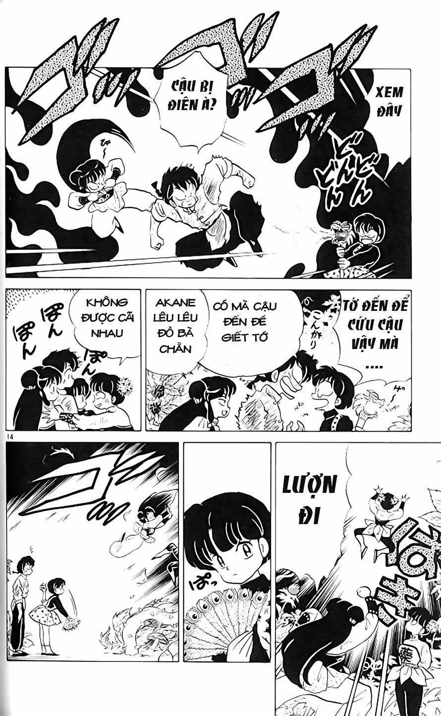 Suối Lời Nguyền 306 trang 14