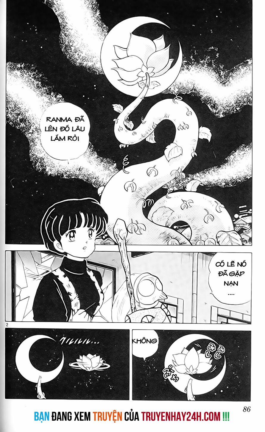 Suối Lời Nguyền 306 trang 2