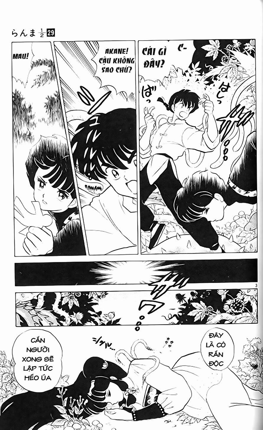 Suối Lời Nguyền 307 trang 3