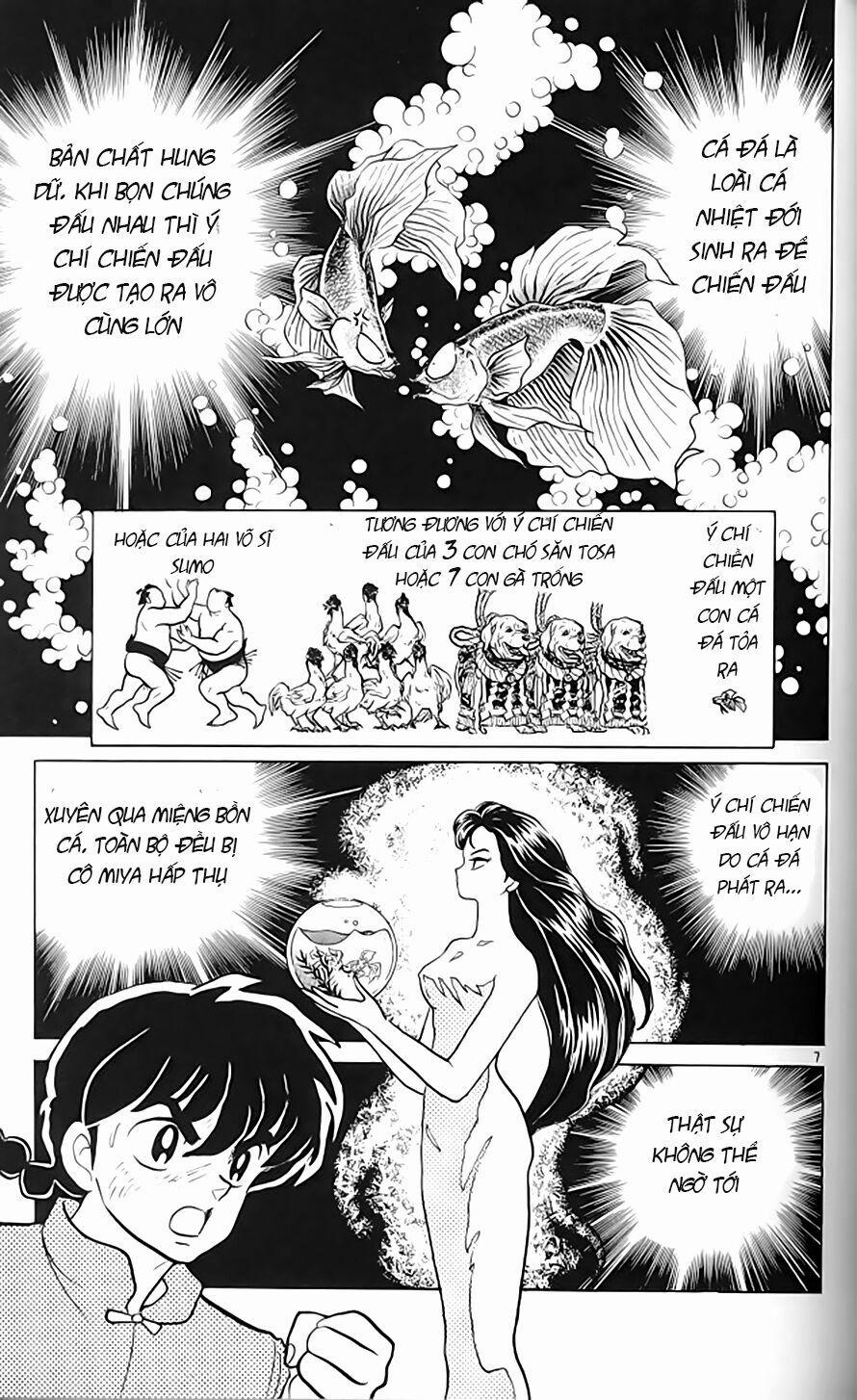 Suối Lời Nguyền 317 trang 6