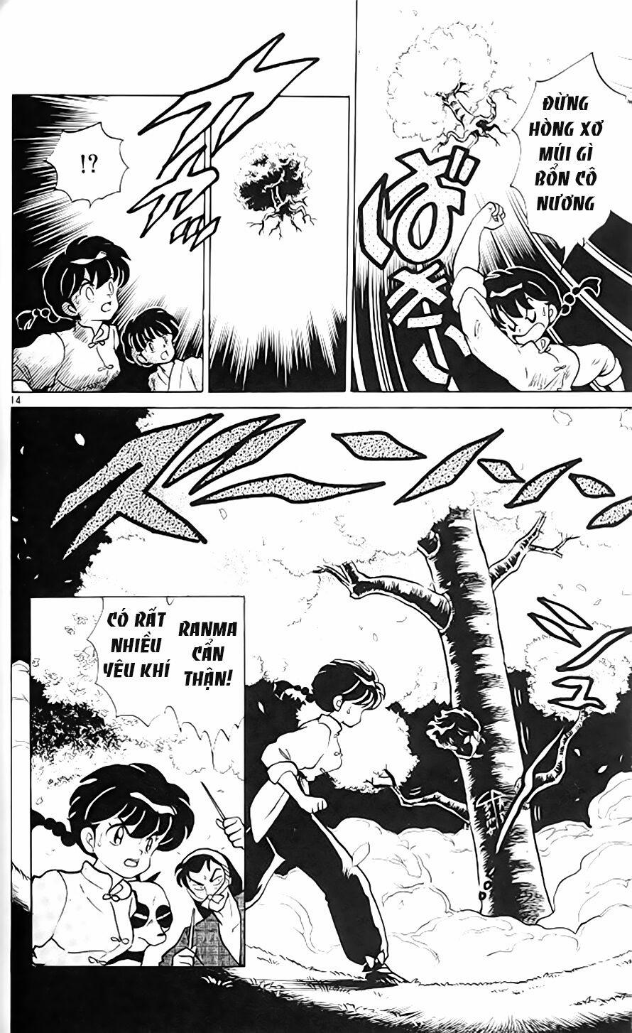 Suối Lời Nguyền 318 trang 14