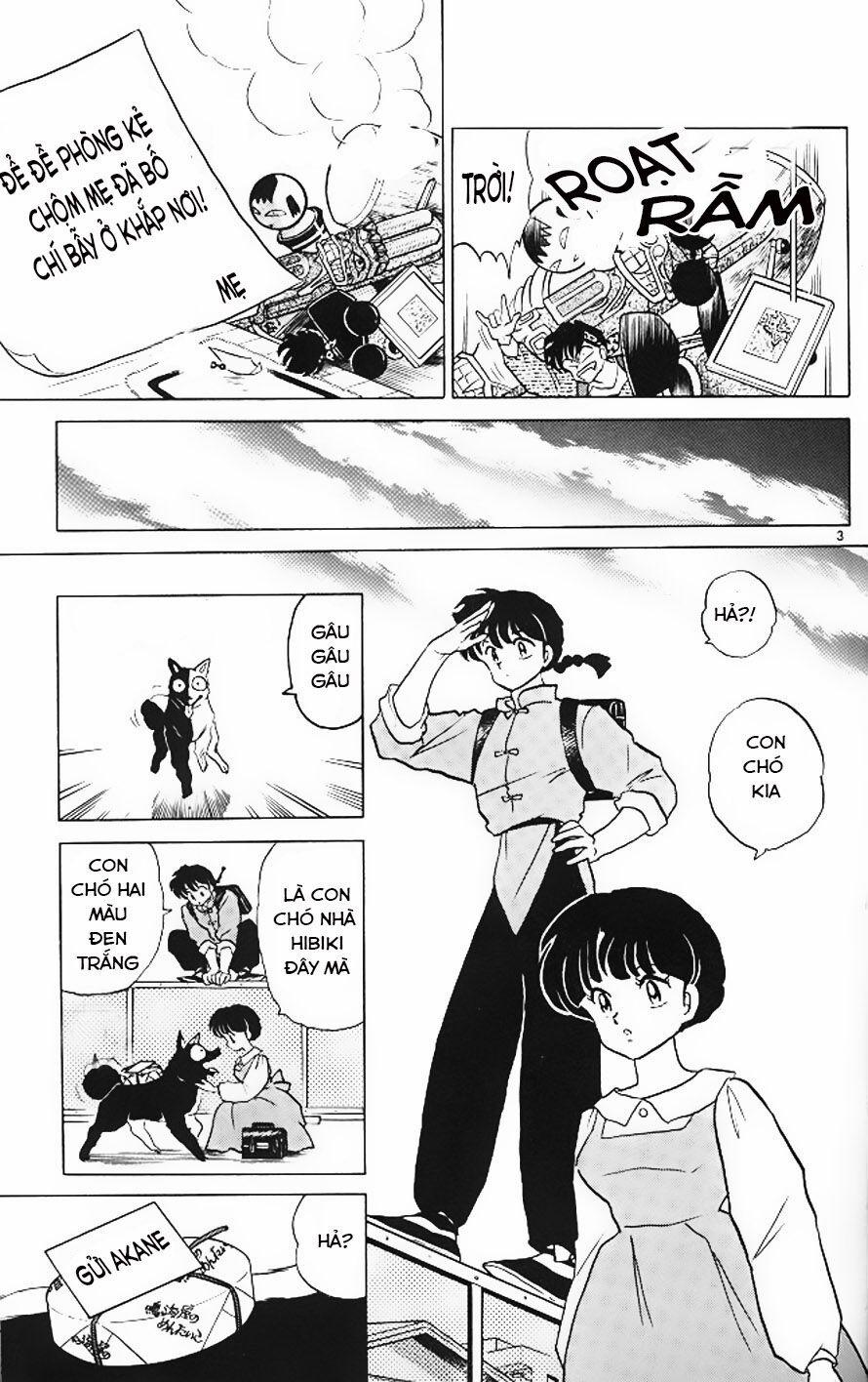 Suối Lời Nguyền 326 trang 2