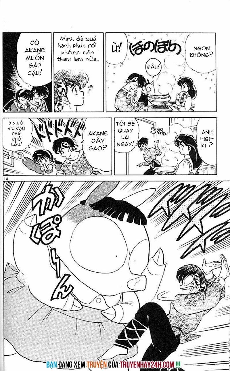 Suối Lời Nguyền 327 trang 14