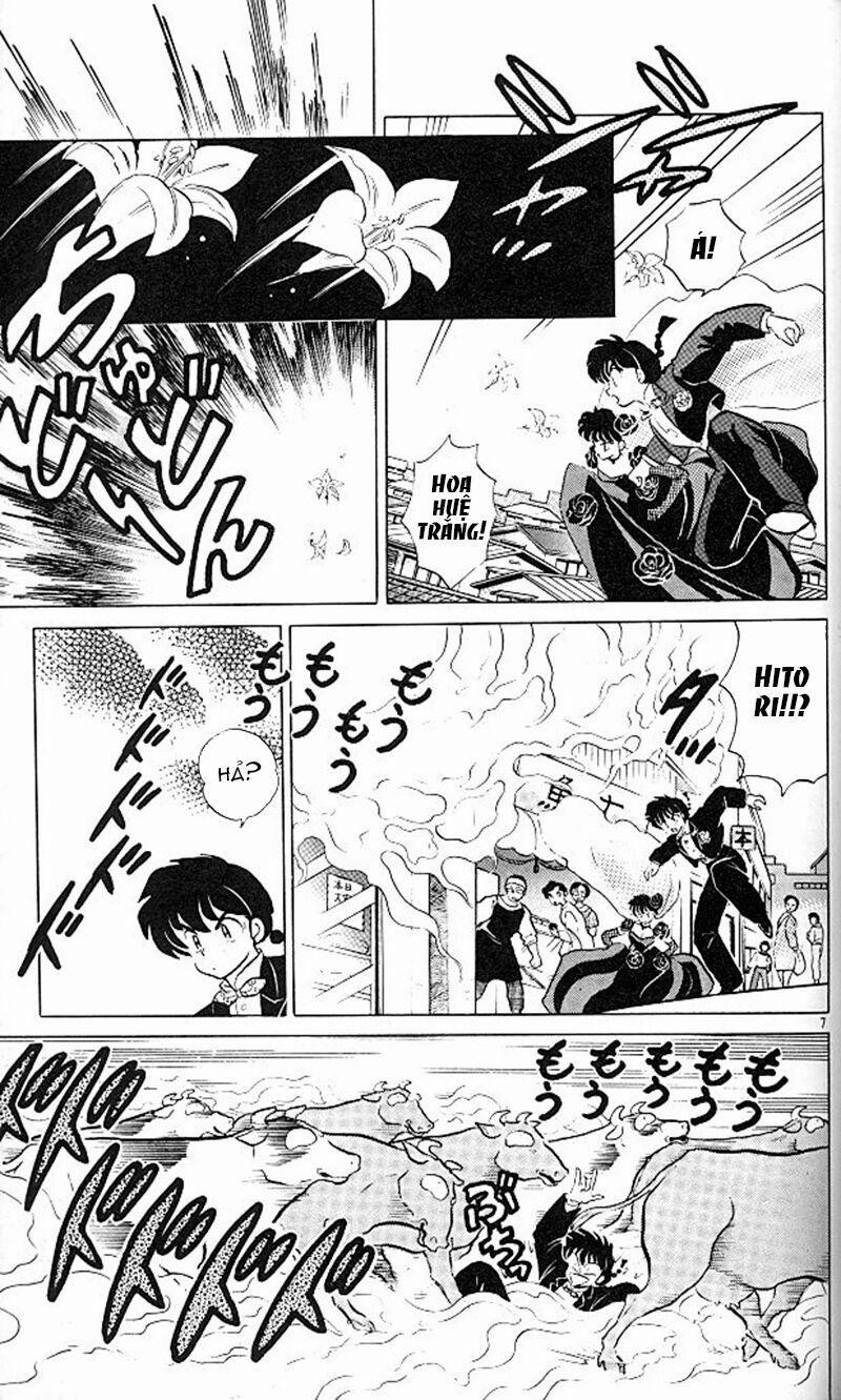 Suối Lời Nguyền 340 trang 8