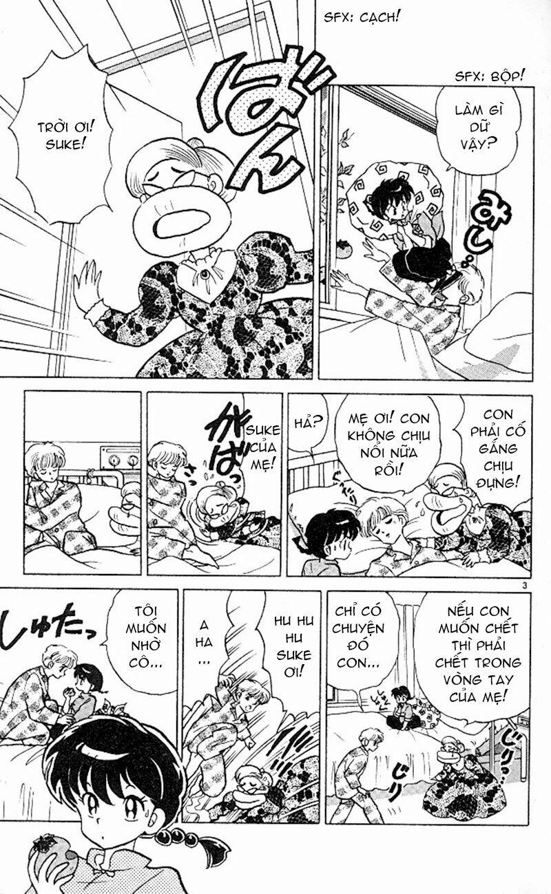 Suối Lời Nguyền 345 trang 4