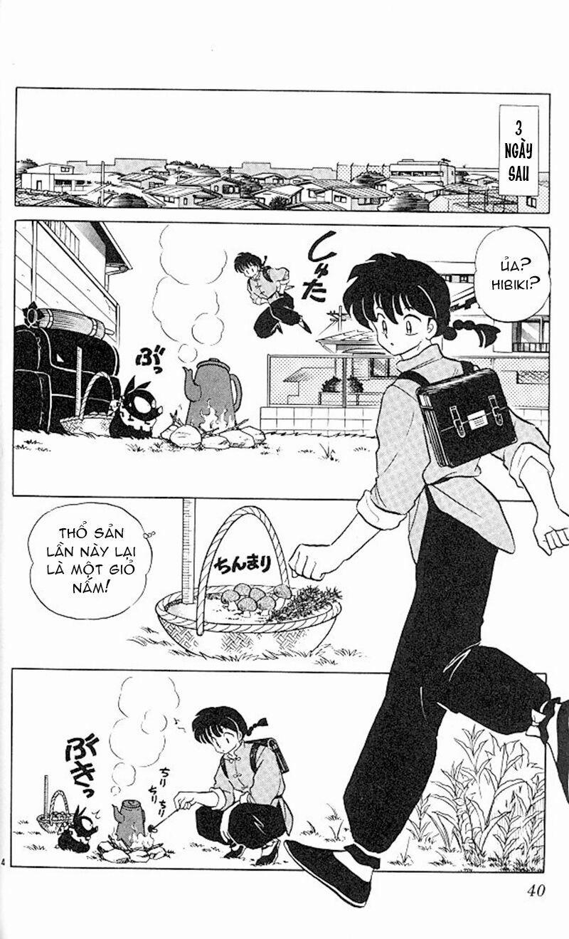 Suối Lời Nguyền 347 trang 5