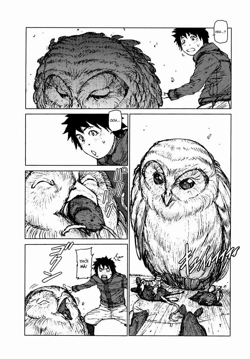 Survival - Shounen S No Kiroku 24 trang 8