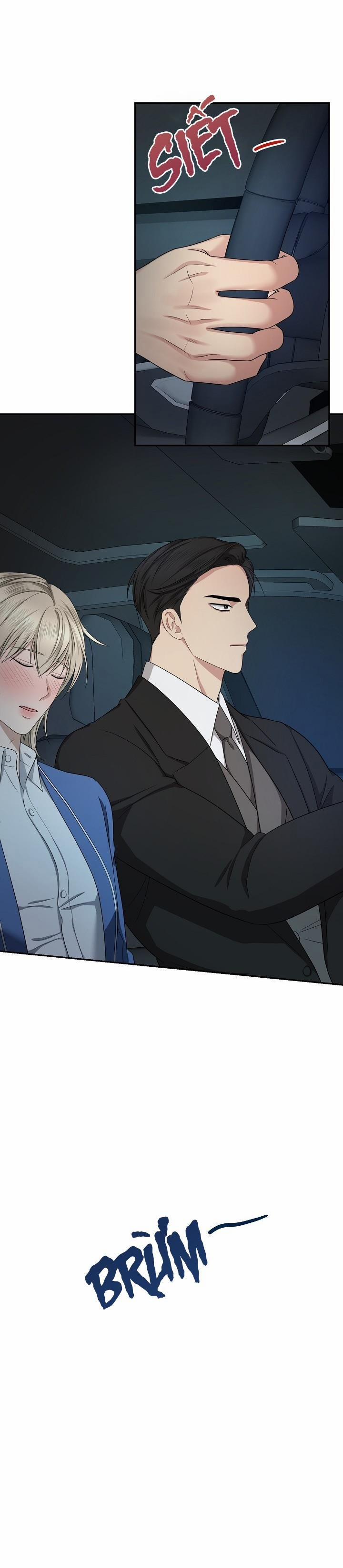 SƯU TẦM GIA 11 trang 23