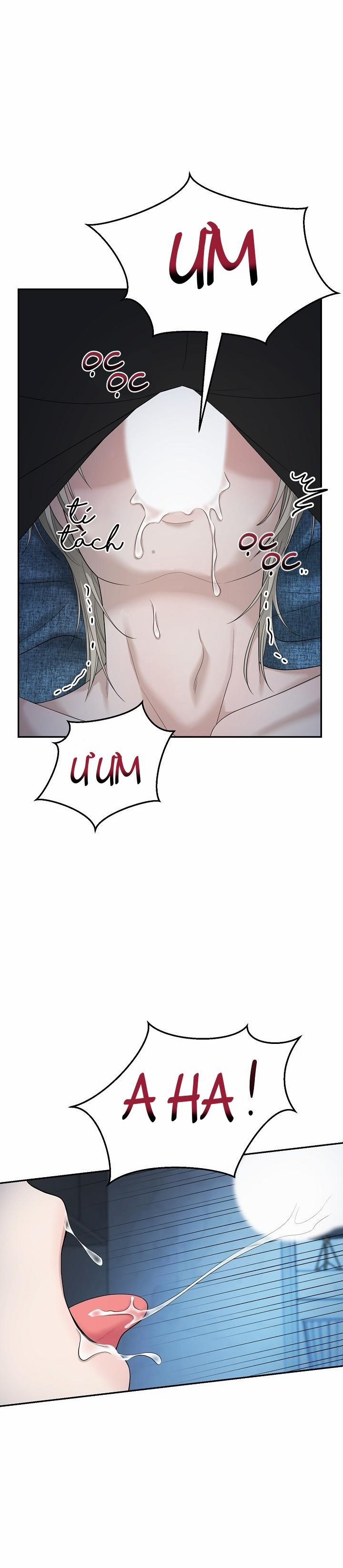 SƯU TẦM GIA 3 trang 19