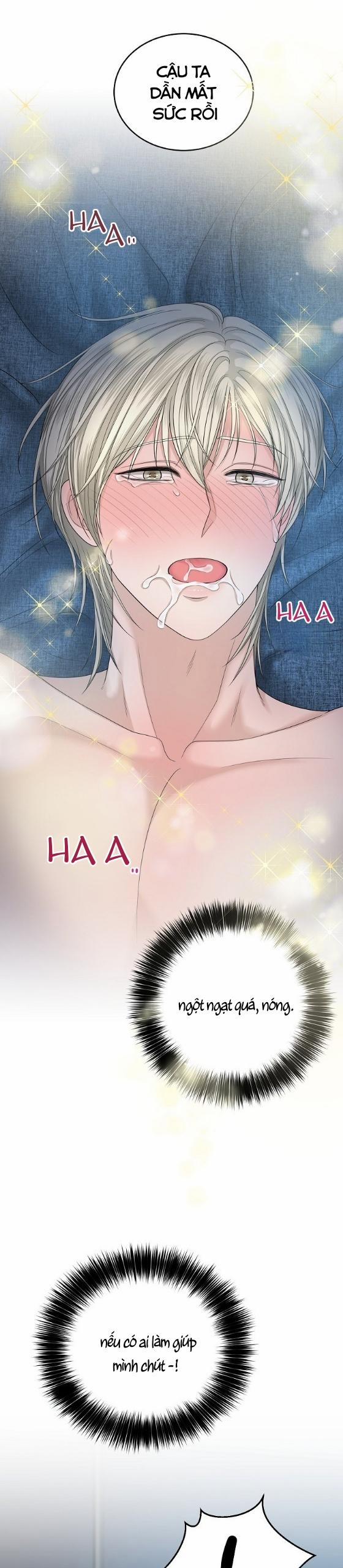 SƯU TẦM GIA 3 trang 20