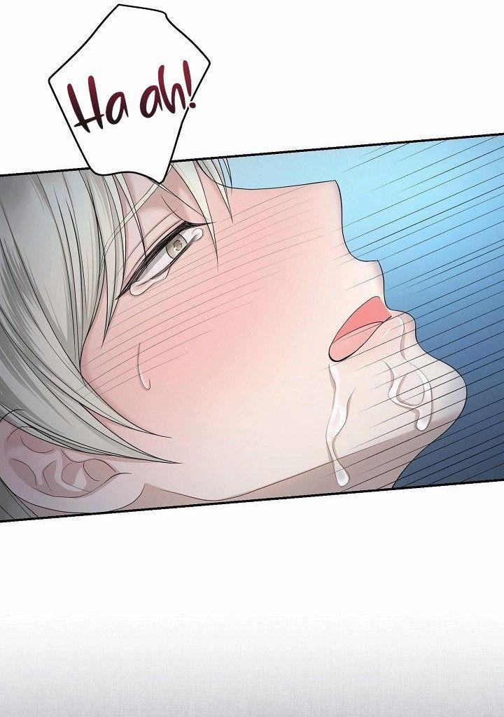 SƯU TẦM GIA 4 trang 5