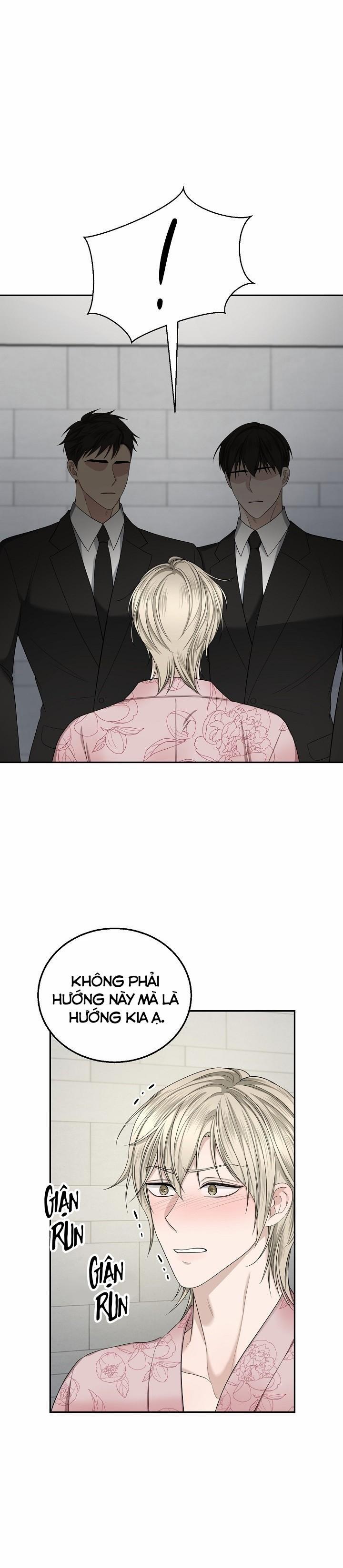 SƯU TẦM GIA 5 trang 13