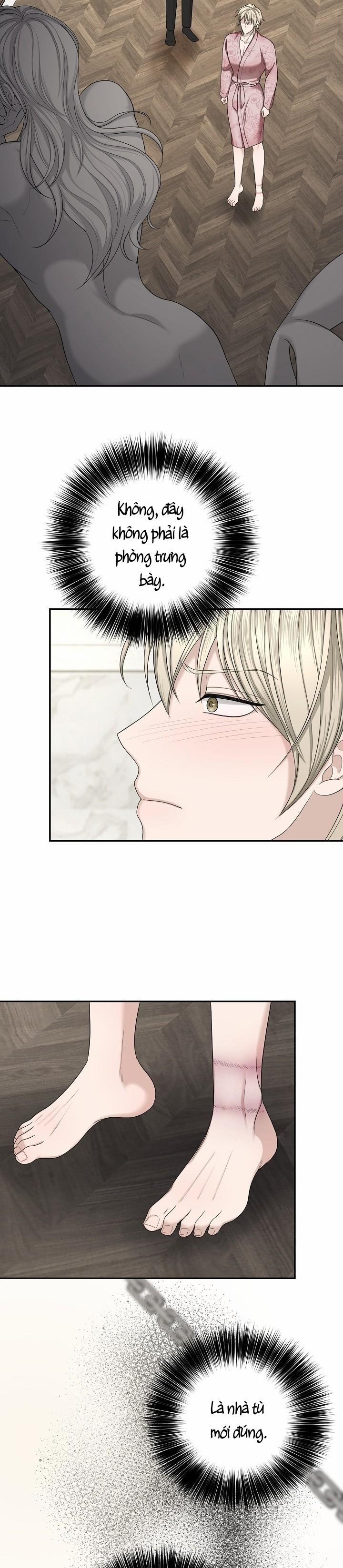 SƯU TẦM GIA 5 trang 24