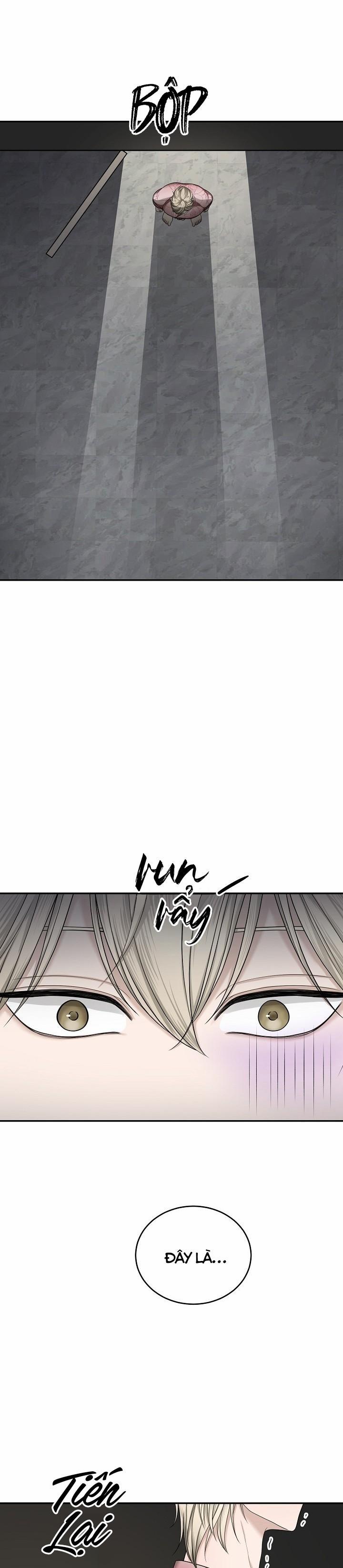 SƯU TẦM GIA 5 trang 27