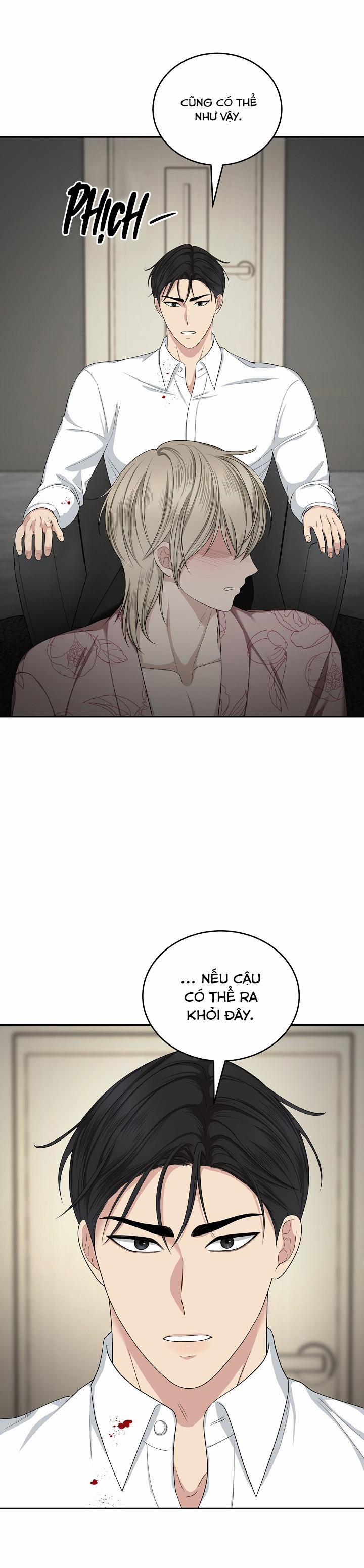 SƯU TẦM GIA 6 trang 16