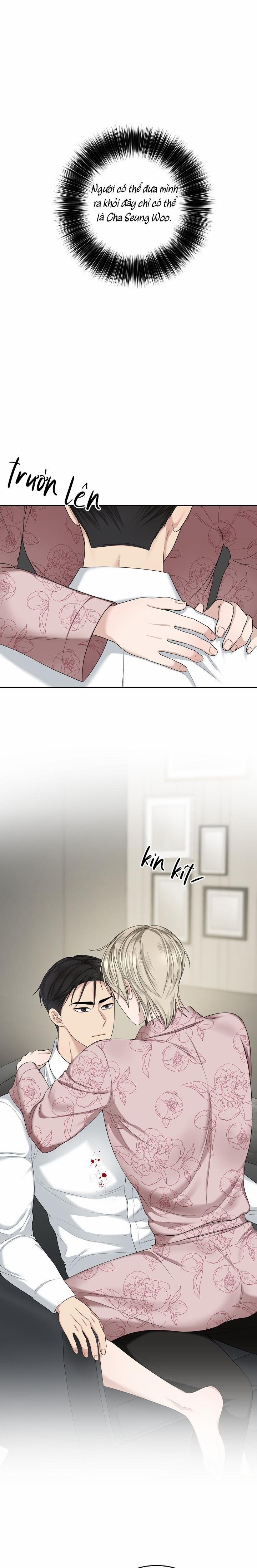 SƯU TẦM GIA 6 trang 31