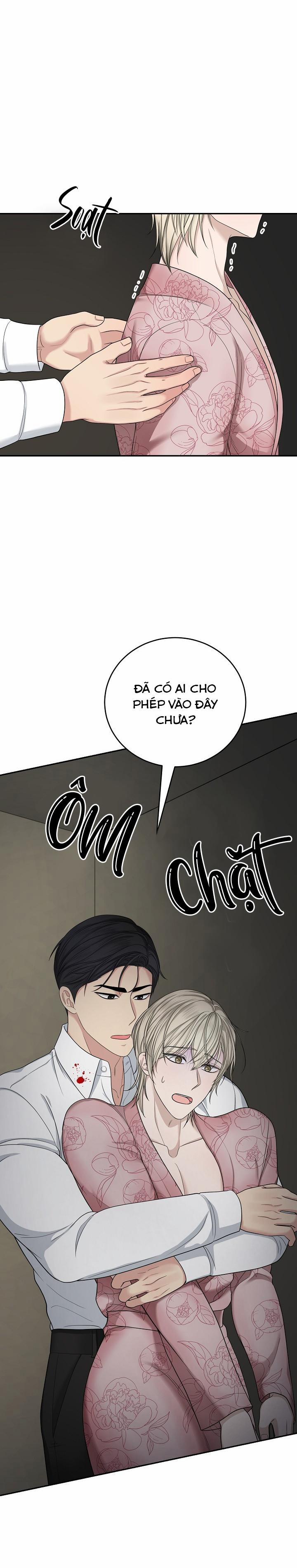 SƯU TẦM GIA 6 trang 4