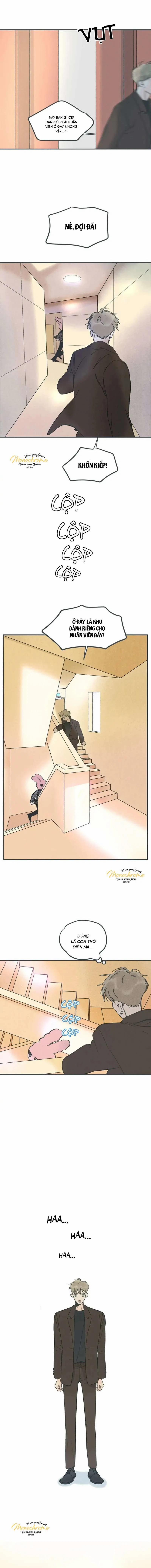 Swing Baby 22 trang 4