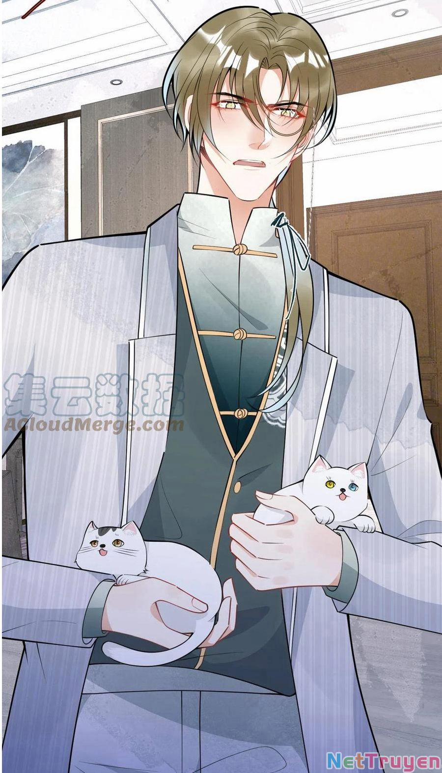 Ta Có Năm Đại Lão Ba Ba 246 trang 13