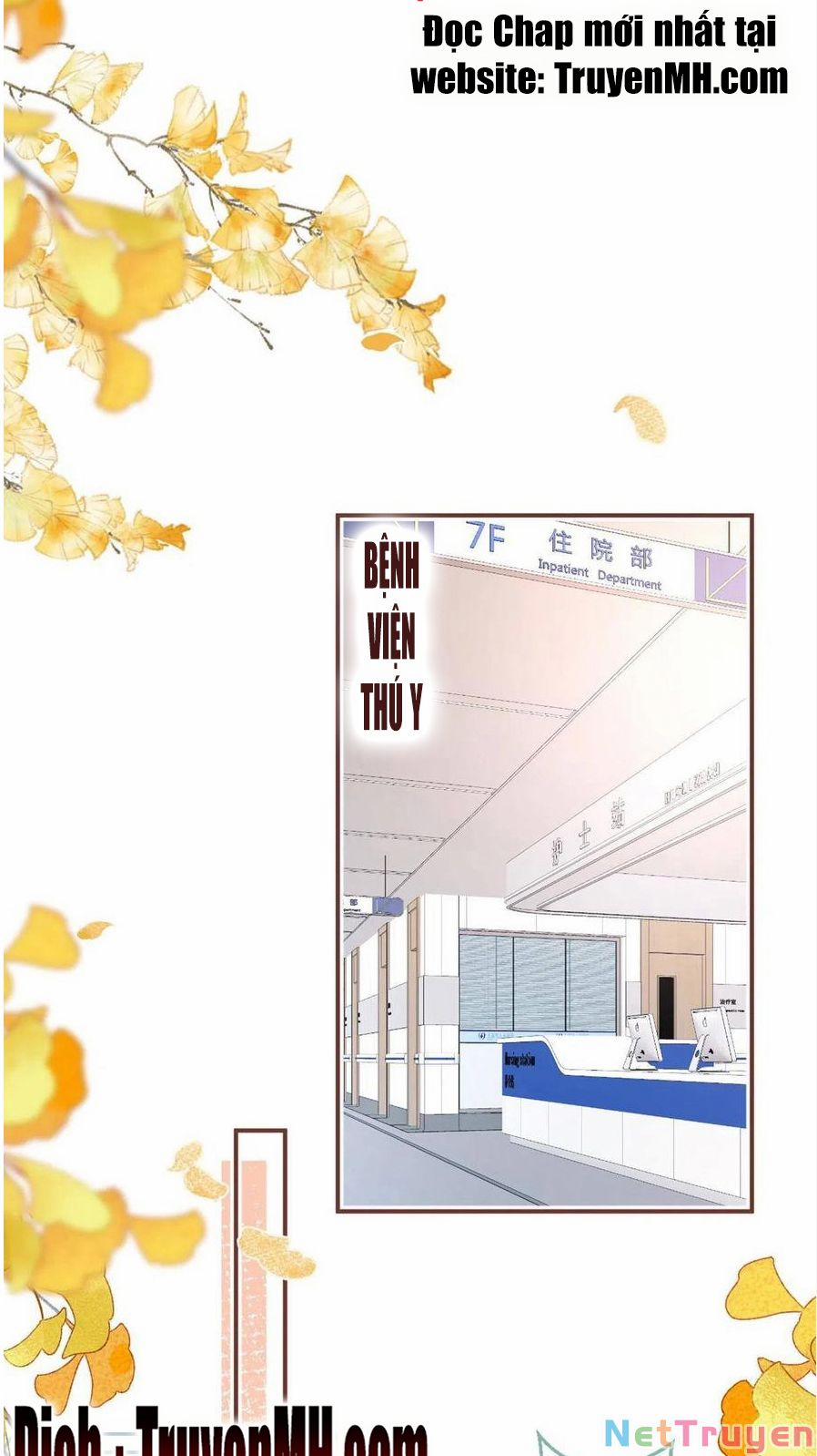 Ta Có Năm Đại Lão Ba Ba 247 trang 17