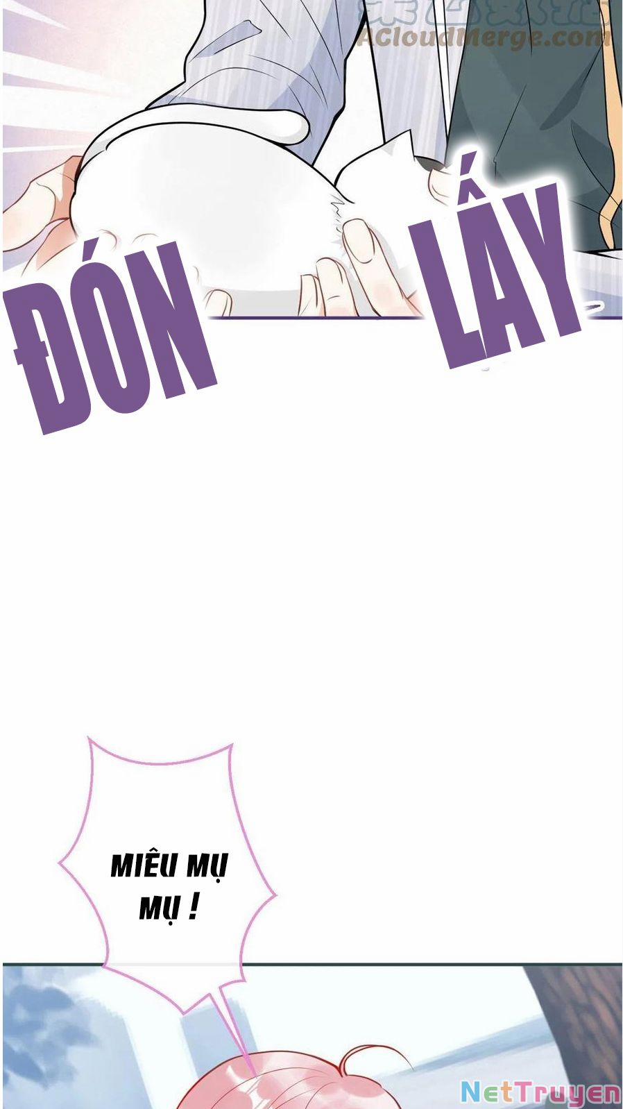 Ta Có Năm Đại Lão Ba Ba 247 trang 9