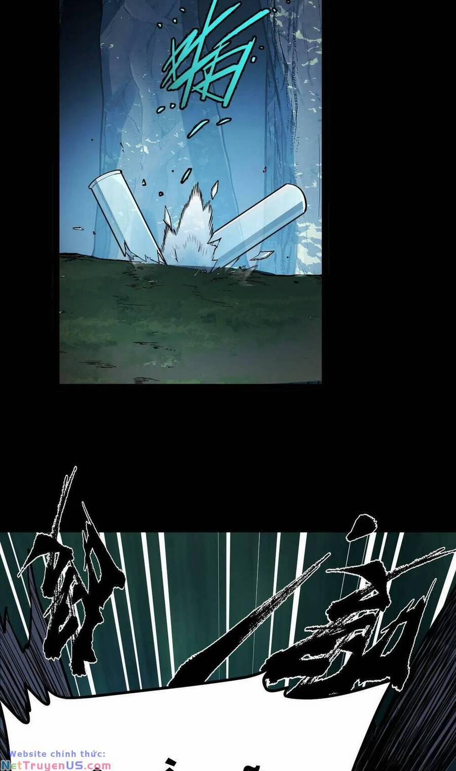 Ta Dựa Vào Thu Thập Vạn Vật Để Thăng Cấp 11 trang 10