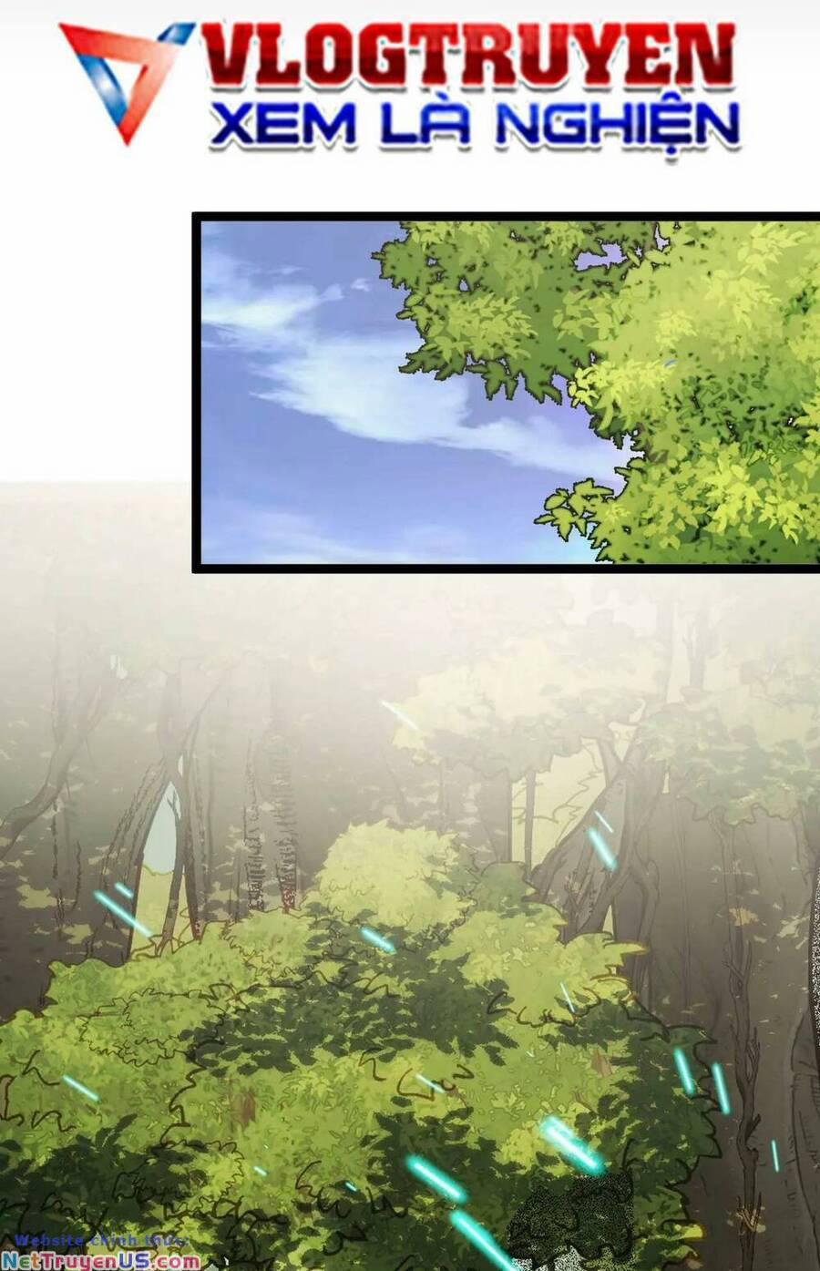 Ta Dựa Vào Thu Thập Vạn Vật Để Thăng Cấp 13 trang 11