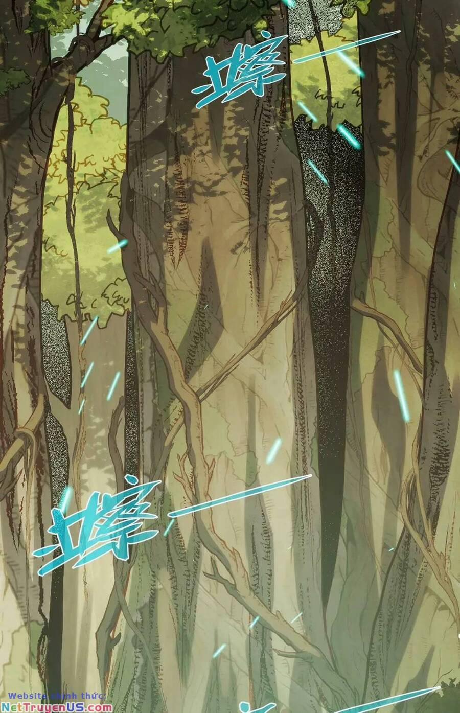 Ta Dựa Vào Thu Thập Vạn Vật Để Thăng Cấp 13 trang 12