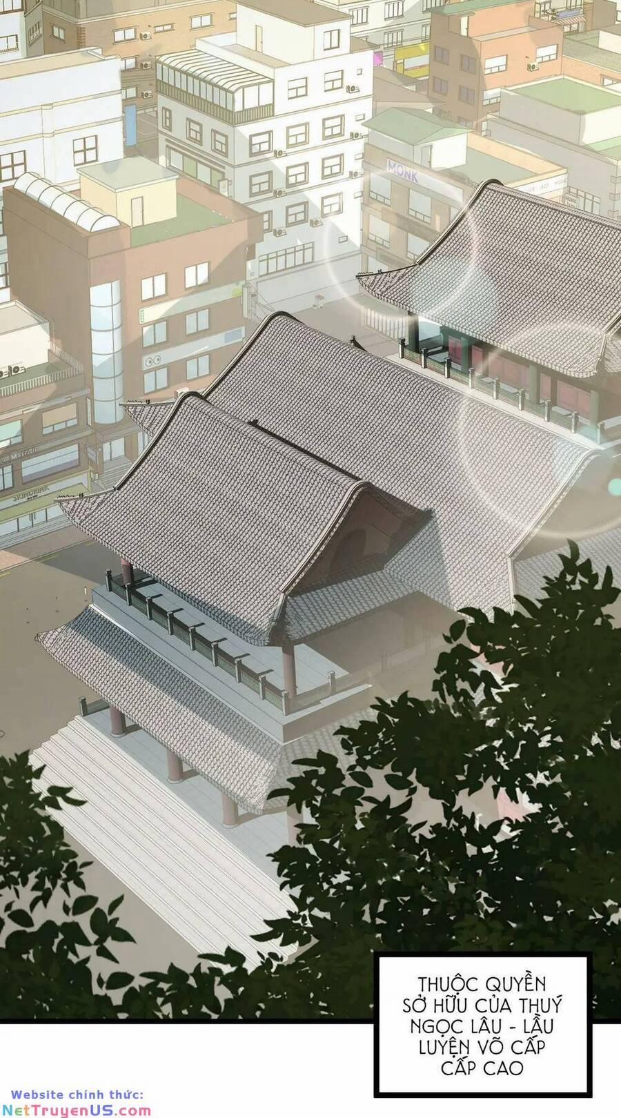 Ta Dựa Vào Thu Thập Vạn Vật Để Thăng Cấp 16 trang 11