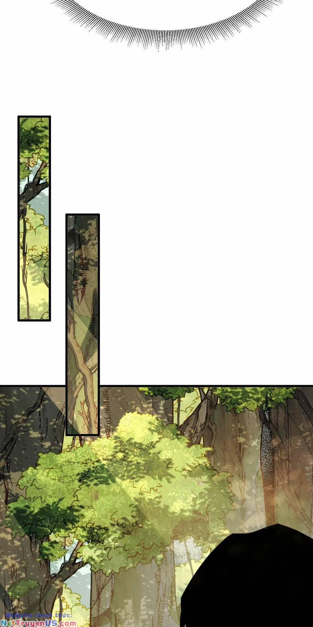 Ta Dựa Vào Thu Thập Vạn Vật Để Thăng Cấp 19 trang 34