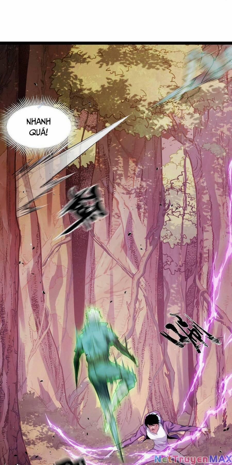 Ta Dựa Vào Thu Thập Vạn Vật Để Thăng Cấp 6 trang 14