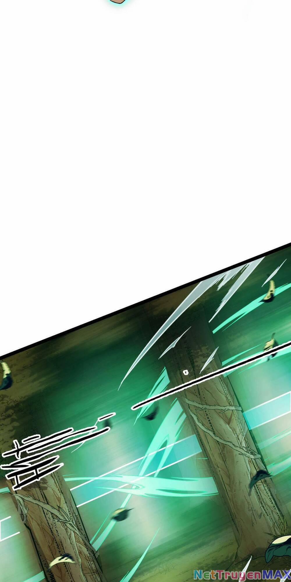 Ta Dựa Vào Thu Thập Vạn Vật Để Thăng Cấp 7 trang 7