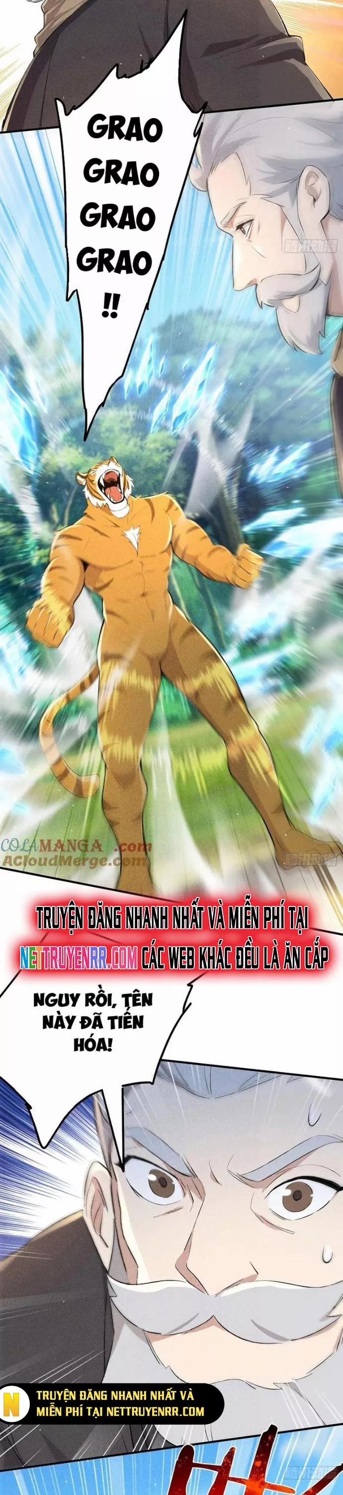 Ta Nắm Giữ Linh Khí Thức Tỉnh 116 trang 11