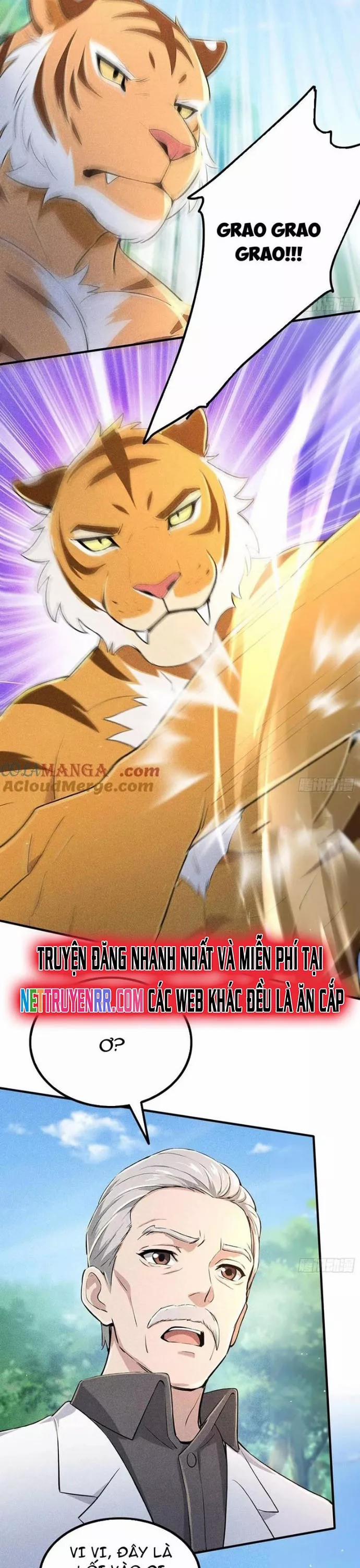 Ta Nắm Giữ Linh Khí Thức Tỉnh 116 trang 17
