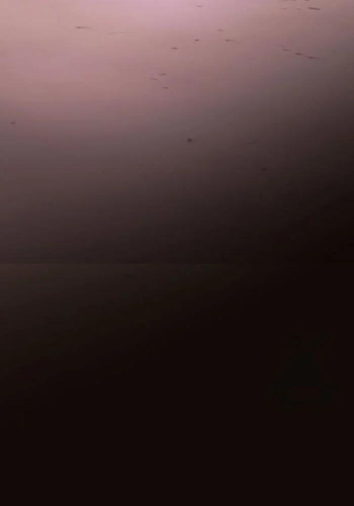 Ta Nhận Được Vật Phẩm Thần Thoại 114 trang 194