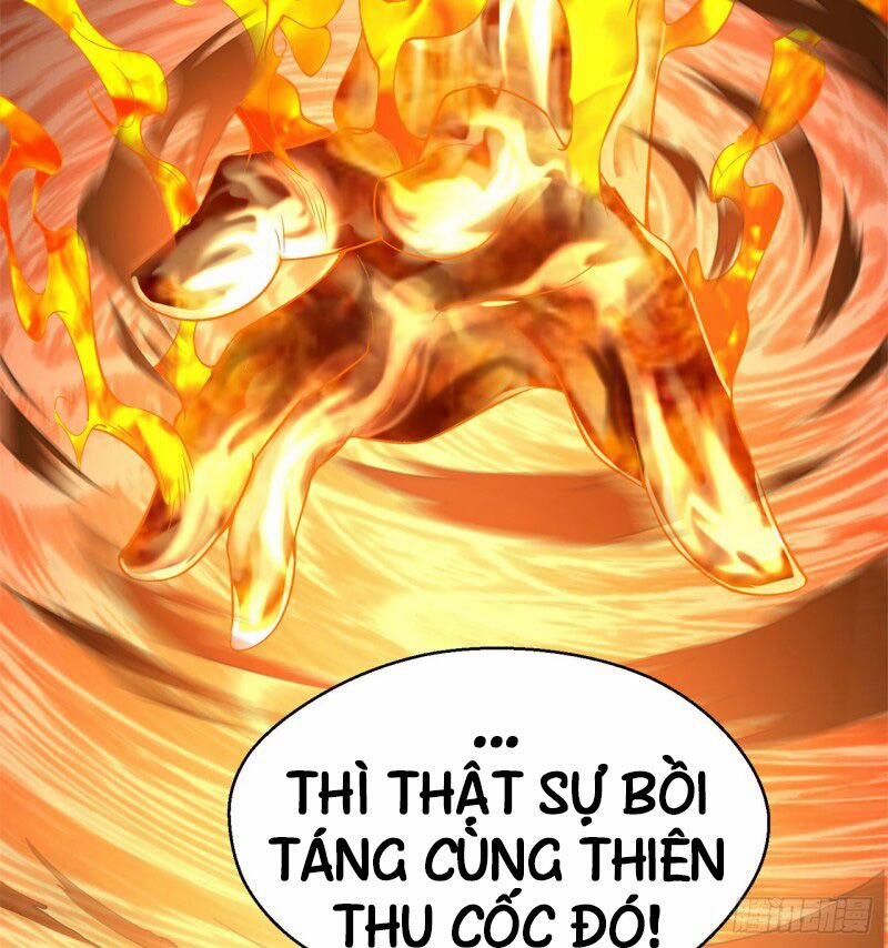 Ta Nhặt Được Thuộc Tính Tại Tu Chân Giới 37 trang 65