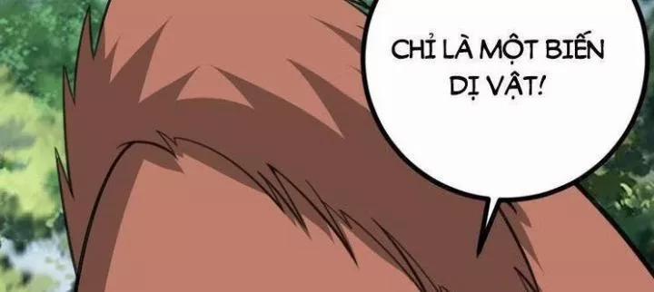 Ta Ở Nhà 100 Năm Khi Ra Ngoài Đã Vô Địch 318 trang 46
