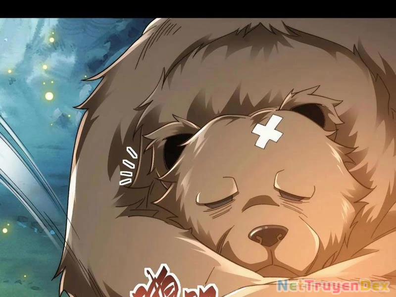 Ta Thực Sự Không Có Hứng Tu Tiên 35 trang 67