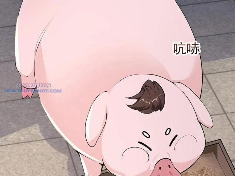 Ta Thực Sự Không Muốn Làm Thần Tiên 105 trang 4