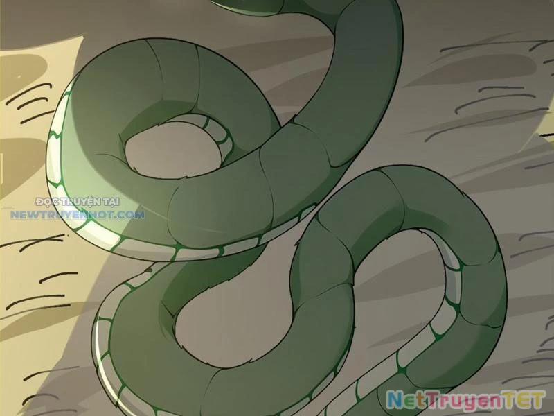 Ta Thực Sự Không Muốn Làm Thần Tiên 105 trang 73