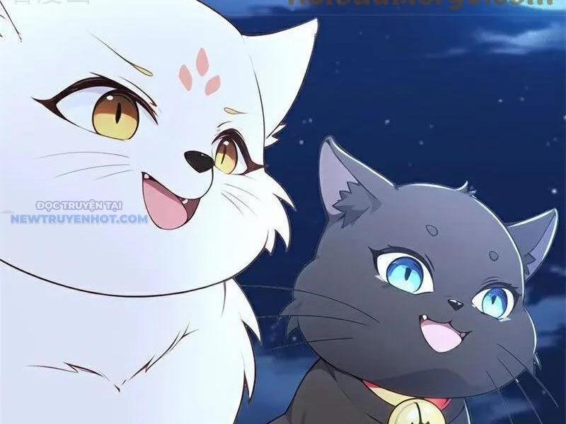 Ta Thực Sự Không Muốn Làm Thần Tiên 116 trang 5