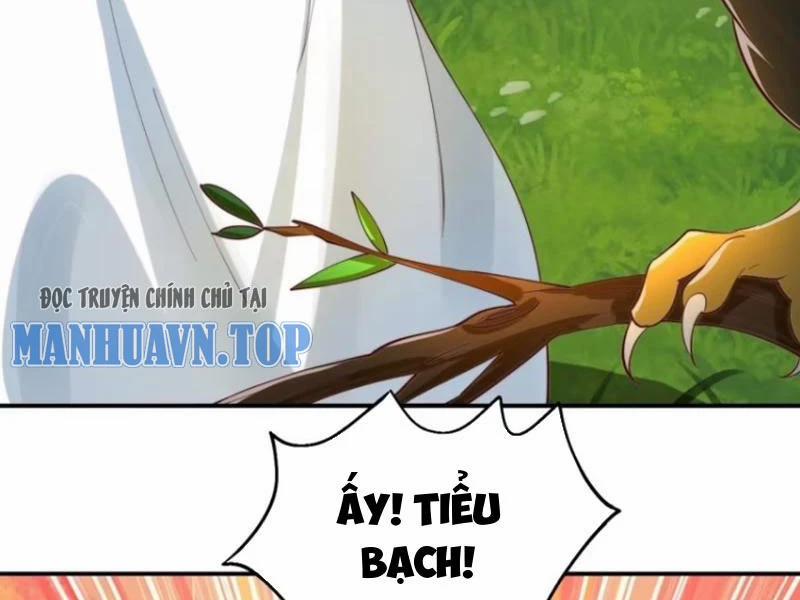 Ta Thực Sự Không Muốn Làm Thần Tiên 38 trang 11